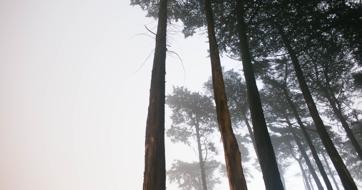 Daňové přiznání 2026: Termíny, novinky a co se mění