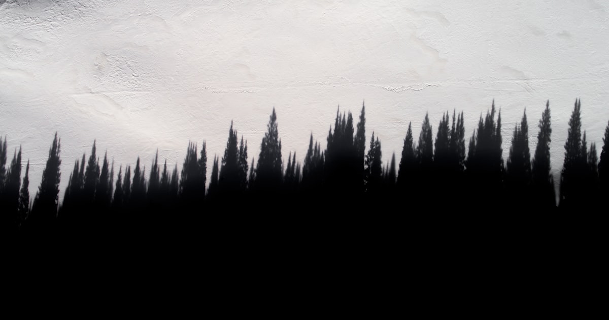 Účetnictví pro e-shop: kompletní průvodce pro online prodejce